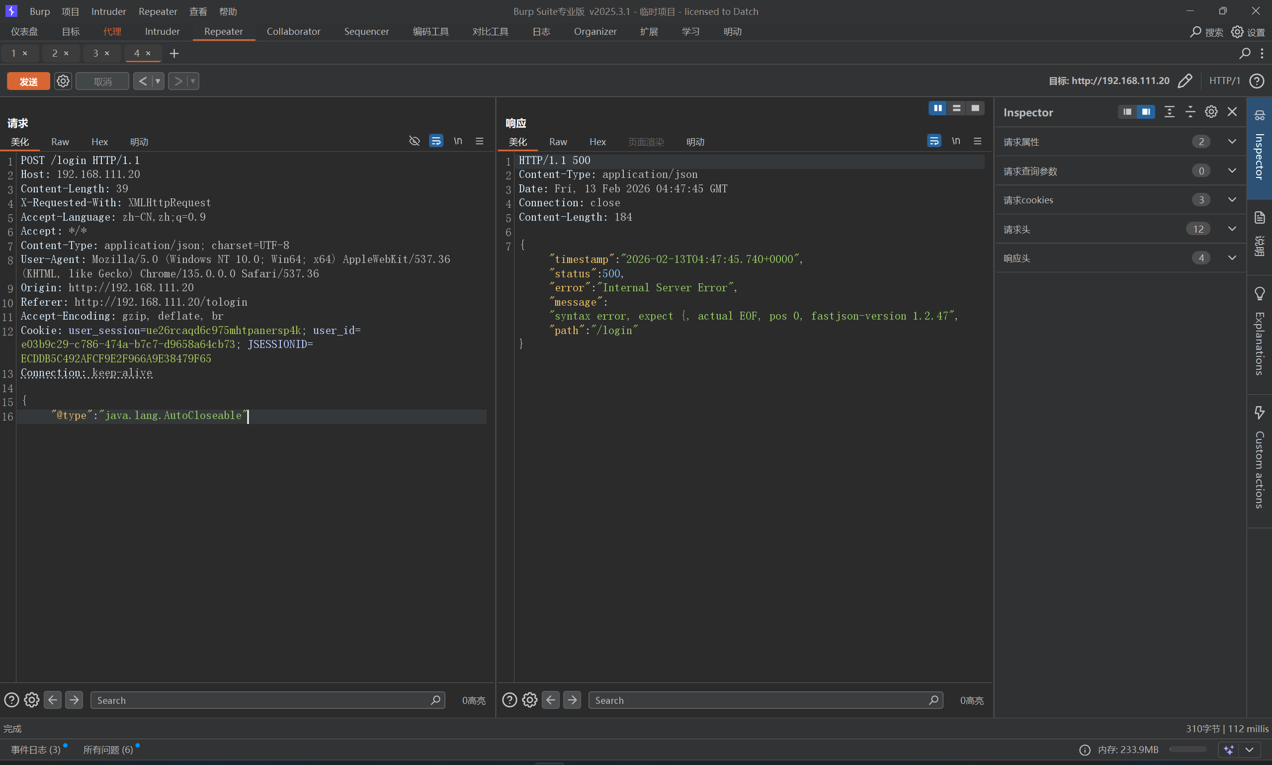 image-20260213124730163