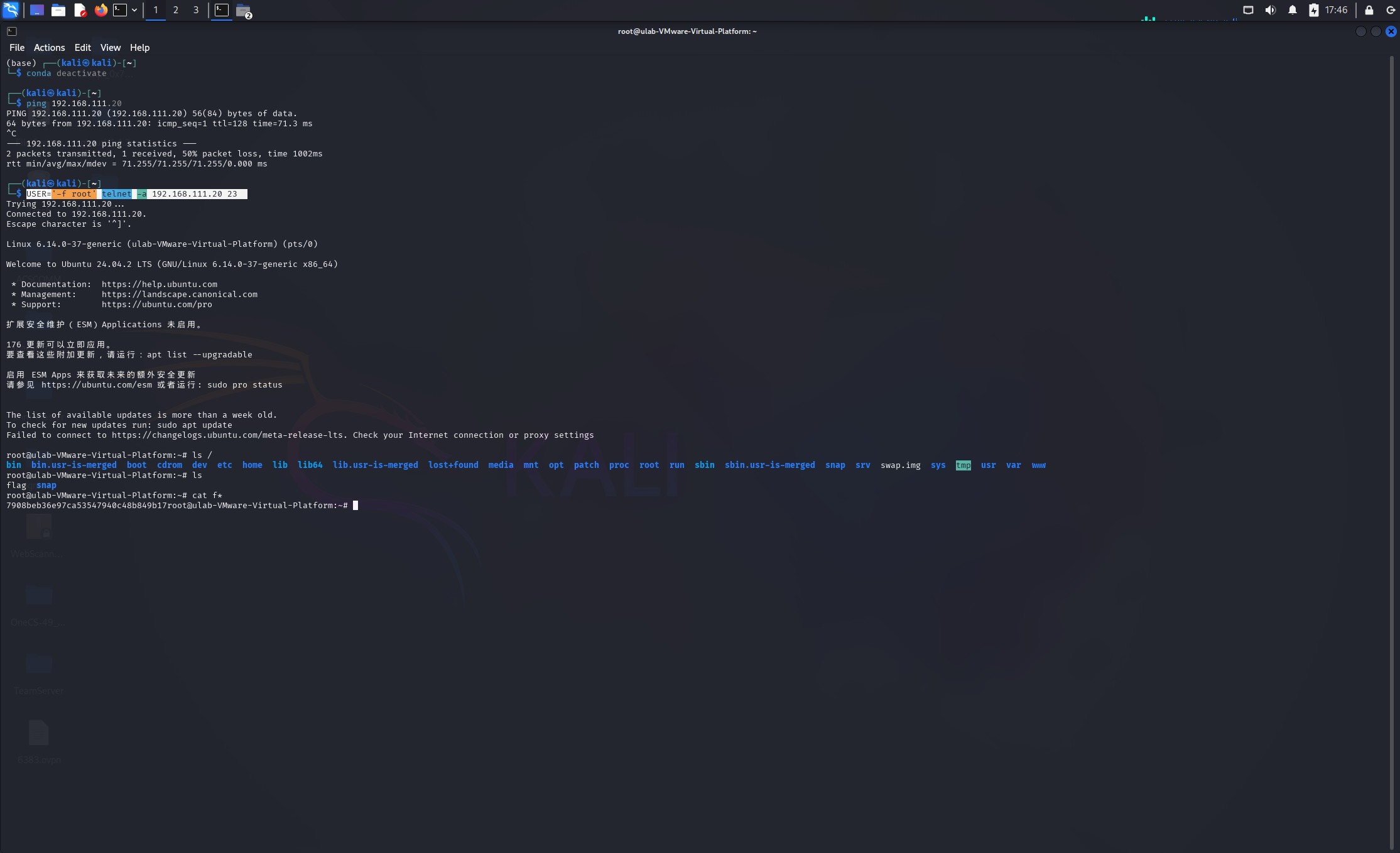 image-20260215174654358