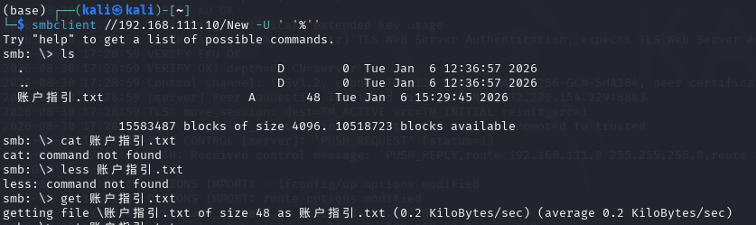 image-20260830175122782